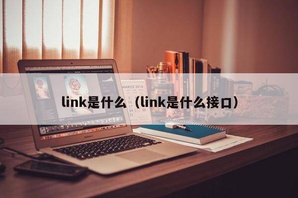 link是什么(link是什么接口)