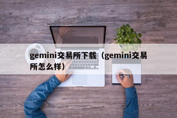 gemini交易所下载(gemini交易所怎么样)