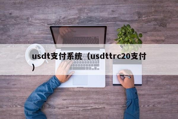 usdt支付系统(usdttrc20支付)